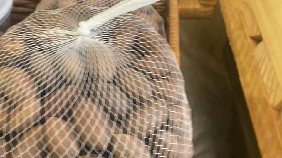 The Harvest Organic Produce